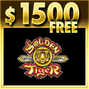 Golden Tiger